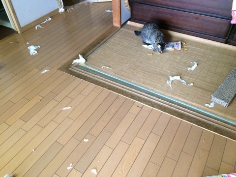 {24921DD5-24D2-4321-9921-4647A3D9443E:01}